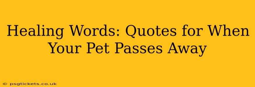 Healing Words: Quotes for When Your Pet Passes Away