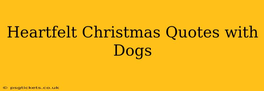 Heartfelt Christmas Quotes with Dogs