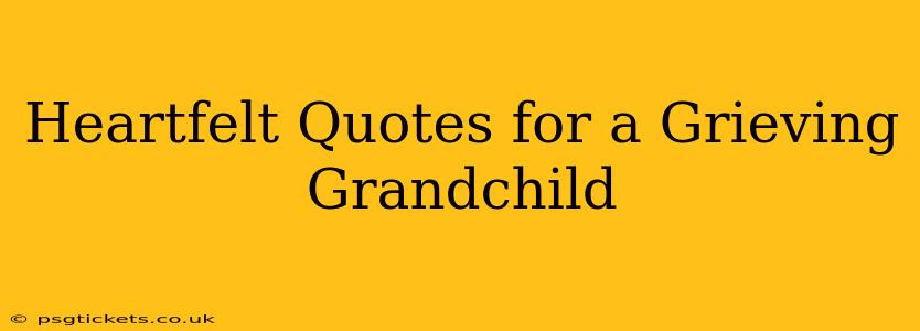 Heartfelt Quotes for a Grieving Grandchild