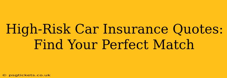 High-Risk Car Insurance Quotes:  Find Your Perfect Match