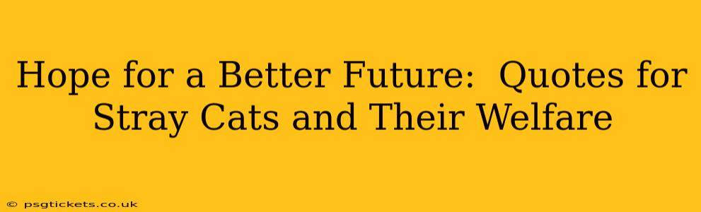 Hope for a Better Future:  Quotes for Stray Cats and Their Welfare