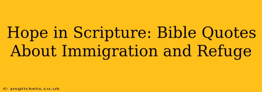 Hope in Scripture: Bible Quotes About Immigration and Refuge