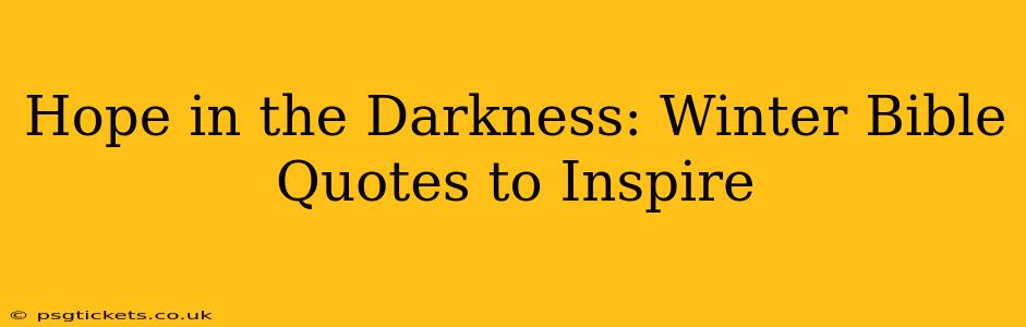 Hope in the Darkness: Winter Bible Quotes to Inspire