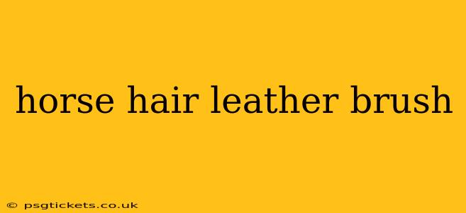 horse hair leather brush