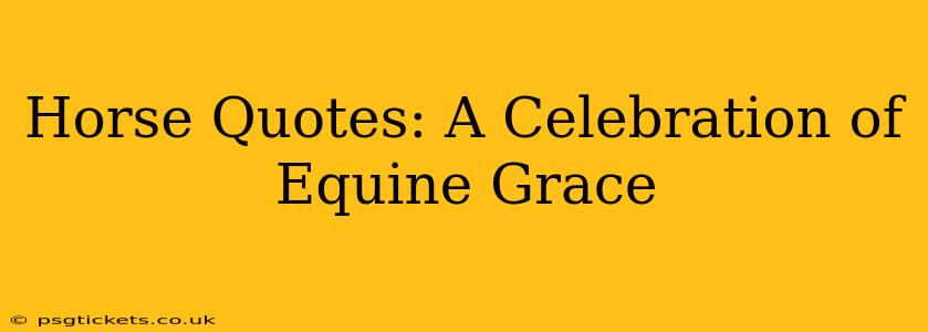 Horse Quotes: A Celebration of Equine Grace