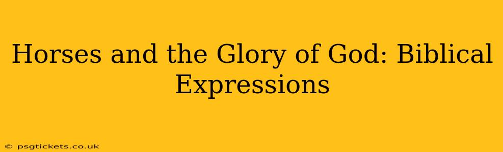 Horses and the Glory of God: Biblical Expressions
