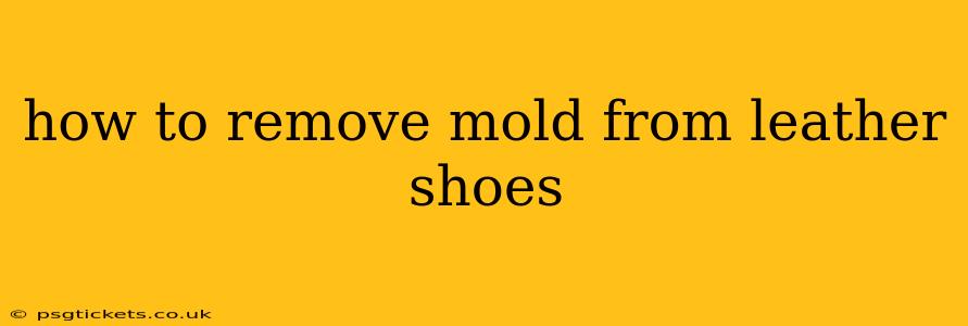 how to remove mold from leather shoes