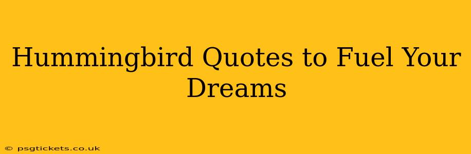 Hummingbird Quotes to Fuel Your Dreams