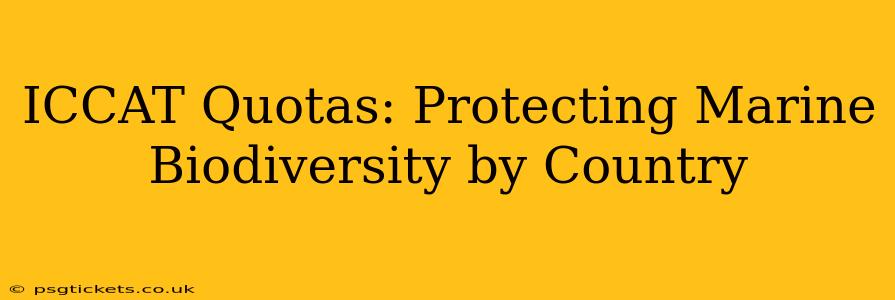 ICCAT Quotas: Protecting Marine Biodiversity by Country