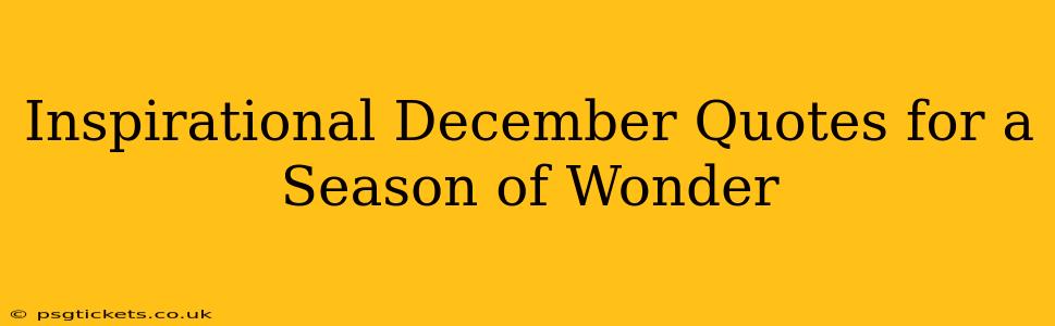Inspirational December Quotes for a Season of Wonder