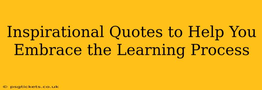 Inspirational Quotes to Help You Embrace the Learning Process