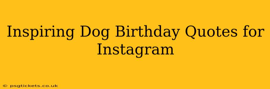 Inspiring Dog Birthday Quotes for Instagram