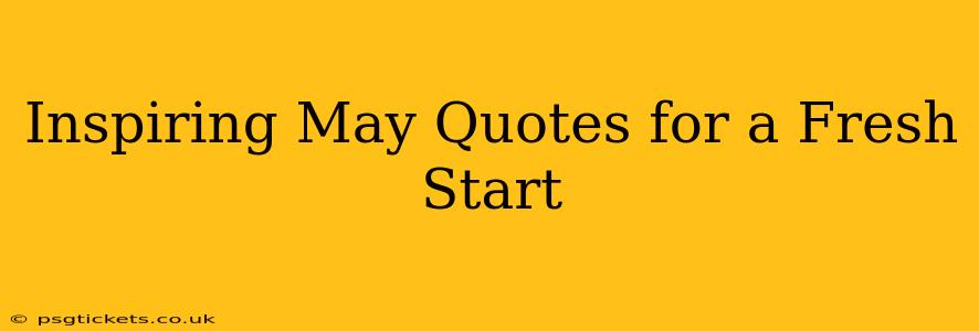 Inspiring May Quotes for a Fresh Start