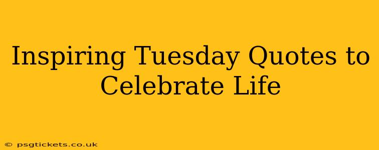 Inspiring Tuesday Quotes to Celebrate Life
