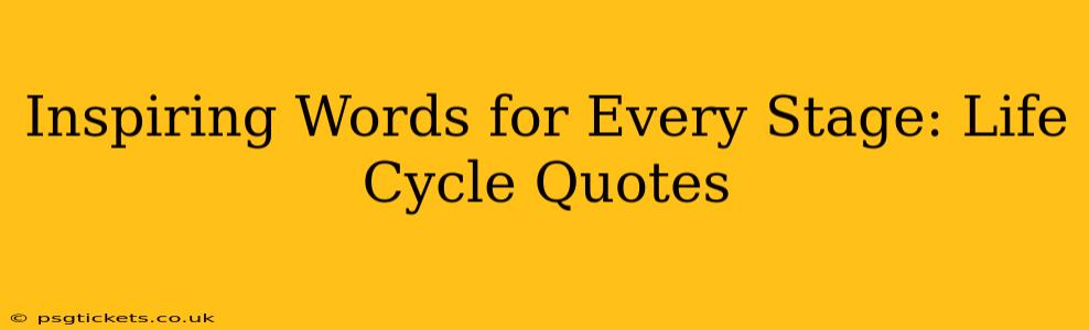 Inspiring Words for Every Stage: Life Cycle Quotes
