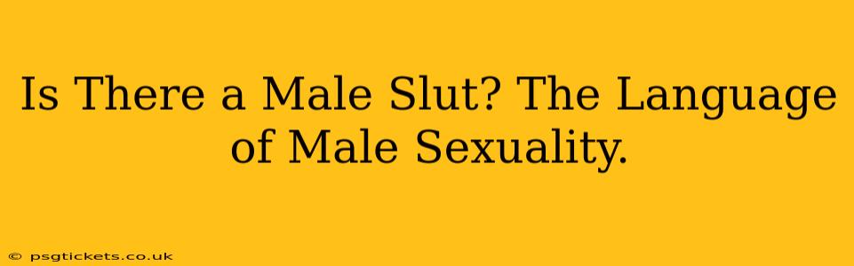 Is There a Male Slut? The Language of Male Sexuality.