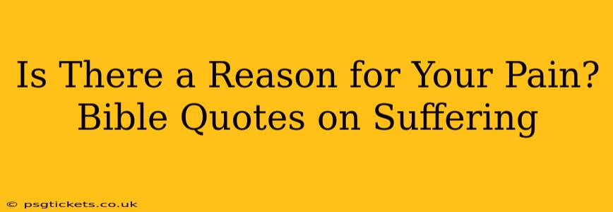 Is There a Reason for Your Pain? Bible Quotes on Suffering
