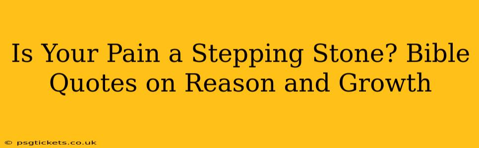Is Your Pain a Stepping Stone? Bible Quotes on Reason and Growth