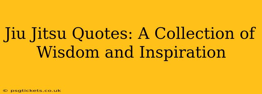 Jiu Jitsu Quotes: A Collection of Wisdom and Inspiration