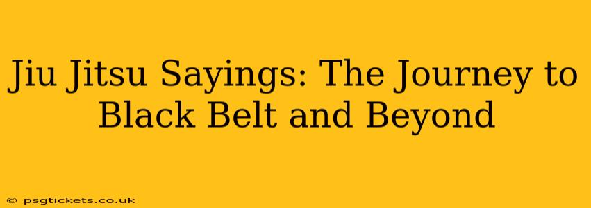 Jiu Jitsu Sayings: The Journey to Black Belt and Beyond
