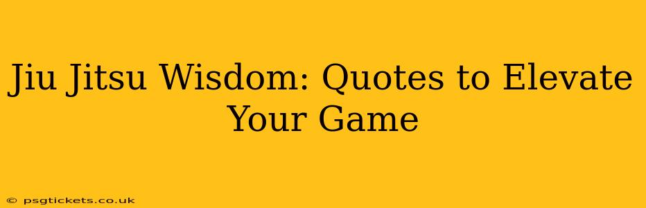 Jiu Jitsu Wisdom: Quotes to Elevate Your Game