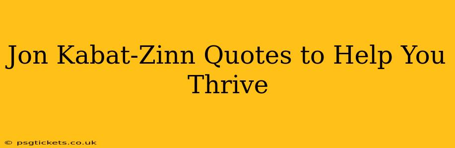 Jon Kabat-Zinn Quotes to Help You Thrive