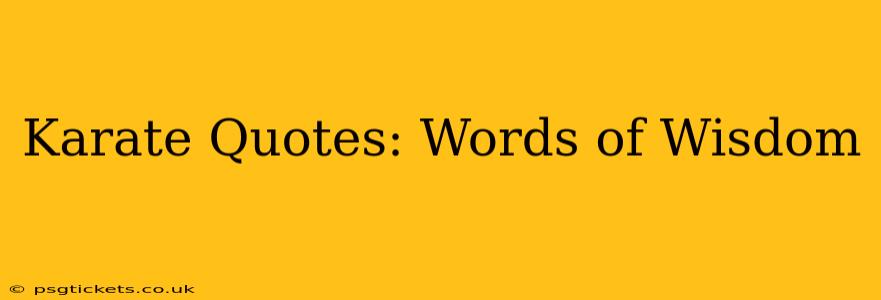 Karate Quotes: Words of Wisdom