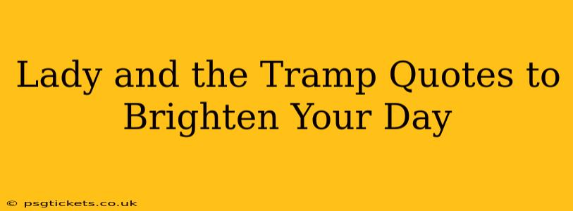 Lady and the Tramp Quotes to Brighten Your Day