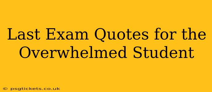 Last Exam Quotes for the Overwhelmed Student