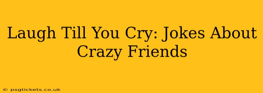 Laugh Till You Cry: Jokes About Crazy Friends