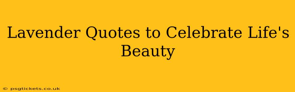 Lavender Quotes to Celebrate Life's Beauty