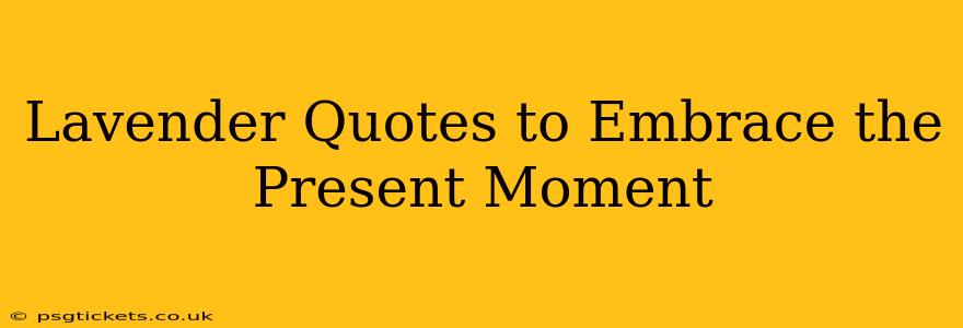 Lavender Quotes to Embrace the Present Moment