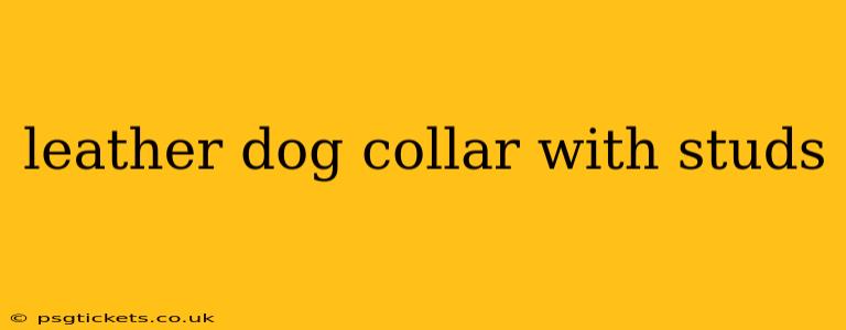 leather dog collar with studs