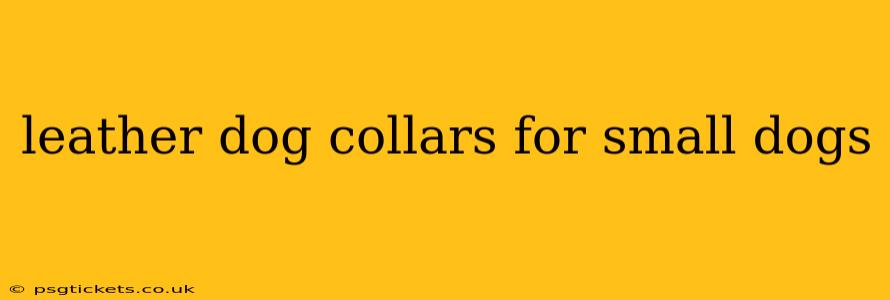 leather dog collars for small dogs
