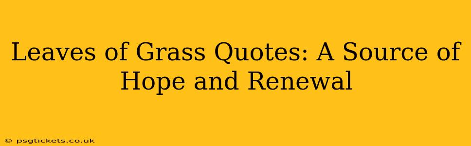 Leaves of Grass Quotes: A Source of Hope and Renewal