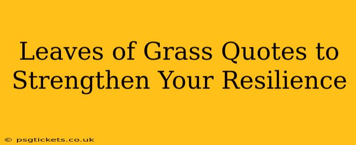 Leaves of Grass Quotes to Strengthen Your Resilience