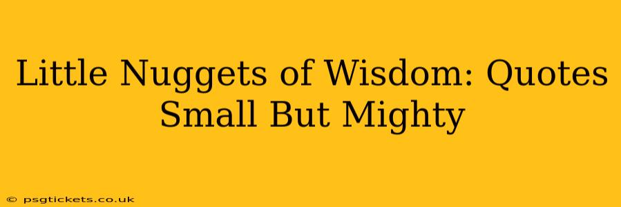 Little Nuggets of Wisdom: Quotes Small But Mighty