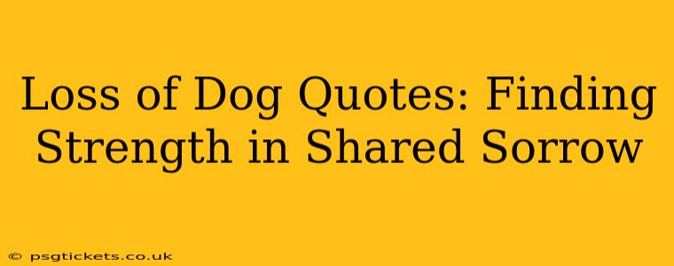 Loss of Dog Quotes: Finding Strength in Shared Sorrow