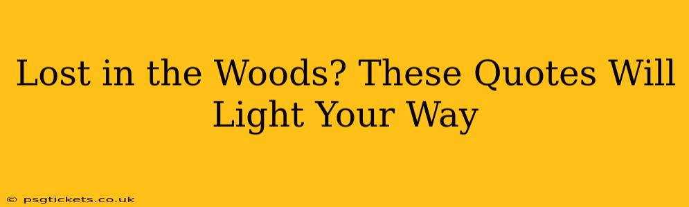 Lost in the Woods? These Quotes Will Light Your Way