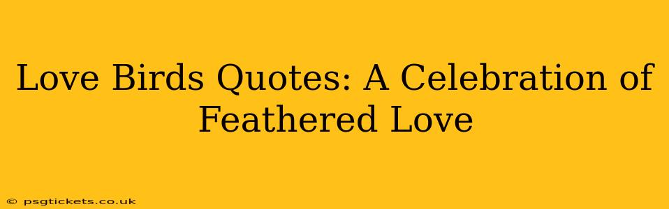Love Birds Quotes: A Celebration of Feathered Love