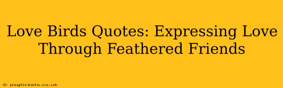 Love Birds Quotes: Expressing Love Through Feathered Friends