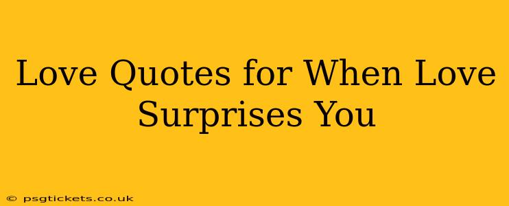 Love Quotes for When Love Surprises You