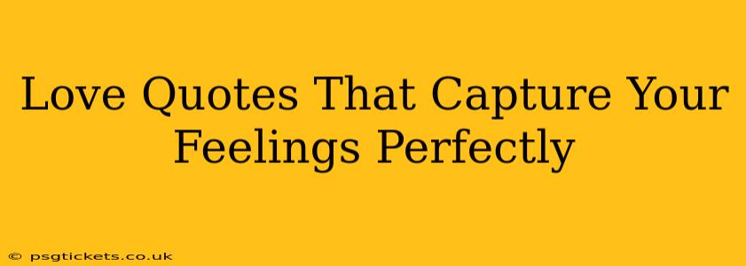 Love Quotes That Capture Your Feelings Perfectly