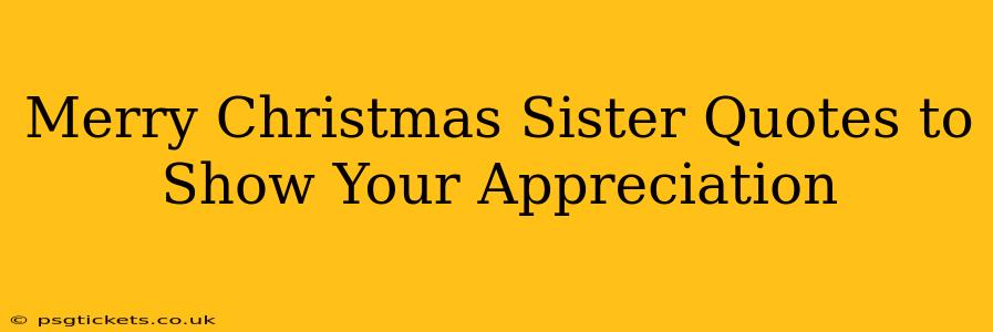 Merry Christmas Sister Quotes to Show Your Appreciation