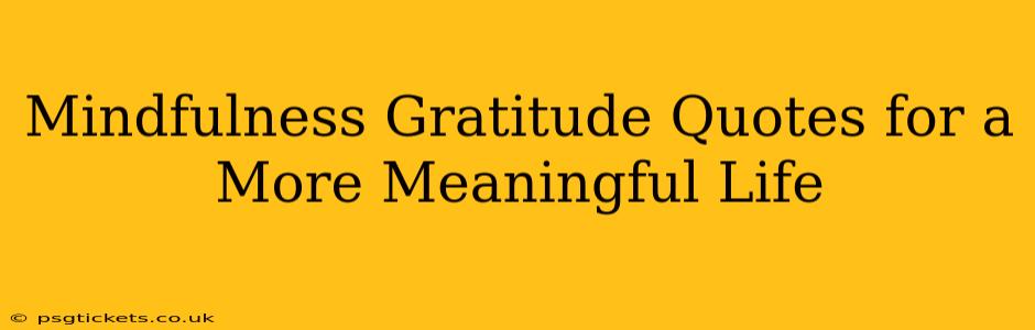 Mindfulness Gratitude Quotes for a More Meaningful Life