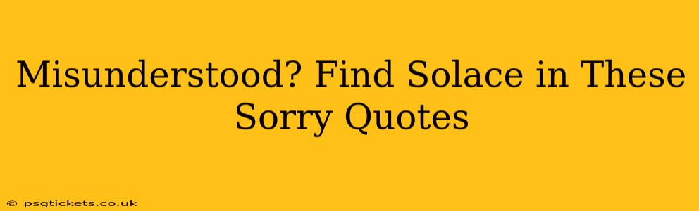 Misunderstood? Find Solace in These Sorry Quotes