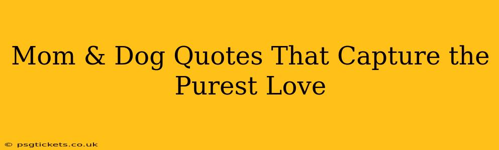 Mom & Dog Quotes That Capture the Purest Love