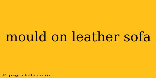 mould on leather sofa