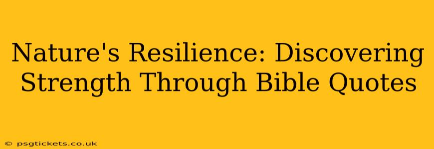 Nature's Resilience: Discovering Strength Through Bible Quotes
