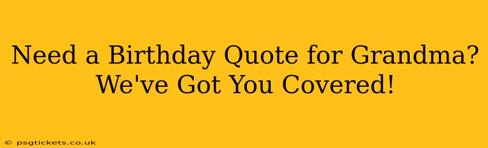 Need a Birthday Quote for Grandma? We've Got You Covered!